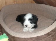 Murphy settling into new accommodation